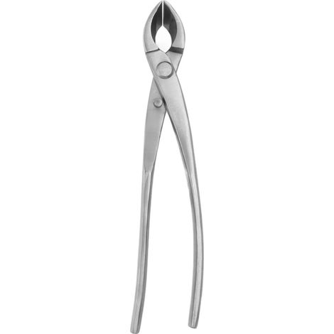 Coupe-branches concave pour bonsaï, en alliage de chrome, biseauté, à bout arrondi, pour jardinage domestique (1/5)