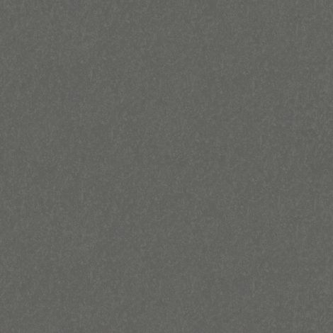 BRICOFLOR Papier peint uni Papier peint Gris - Papier peint Uni - 21,00 x 1,06 m (1/3)