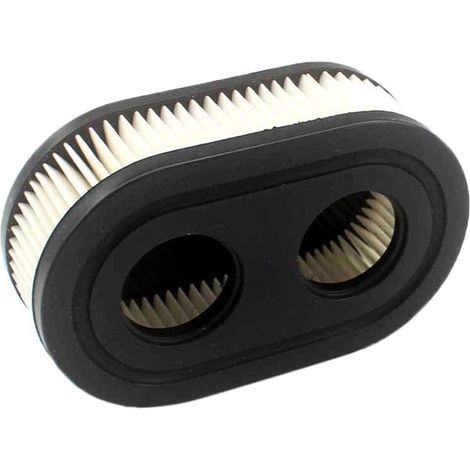 Filtro dell'aria per motori Briggs & Stratton serie 798452-798339 - 593260-5432 - 550 575 (1/4)