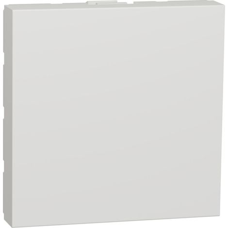 Tapa ciega 2 módulos polar SCHNEIDER NU986618