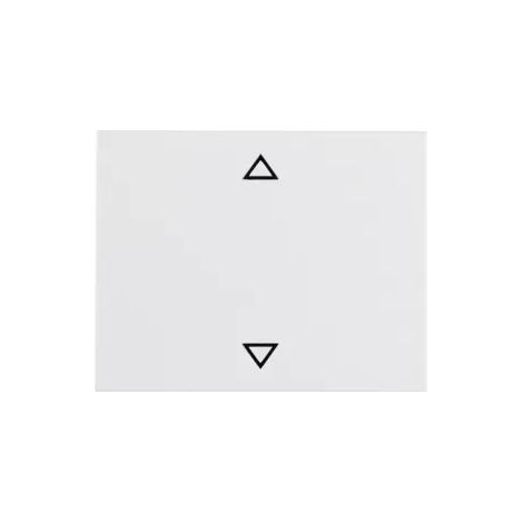 Berker Wippe pws m.Symbol Pfeil 14057109 (1/2)
