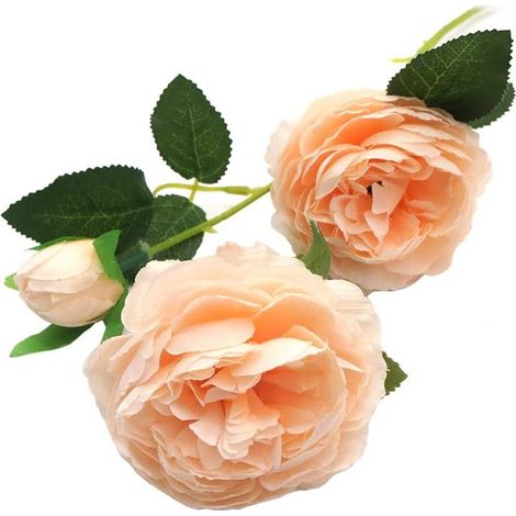 5 pièces 66 cm / 25 Pouces 15 têtes Pivoine Artificielle Feuille de Fleur de Soie Bureau à Domicile fête de Mariage Festival Bar décor (Champagne) (1/5)