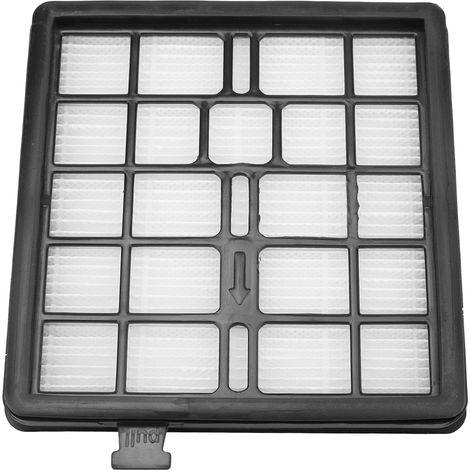 Filtres HEPA de rechange pour aspirateur Dirt Devil F45 (1/5)