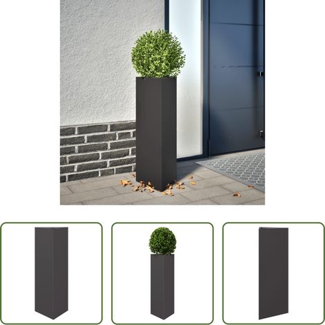 Jardinière en acier - Jardinière noir triangulaire 30x26x75 cm acier (1/5)