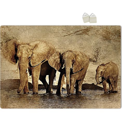 ELEFANTI - POSTER en PVC de 3 mm - Dimension : 70x100 cm