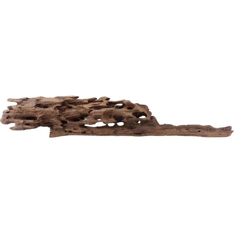 XL Honey Comb Wurzel Nr.1932 Holz Deko Aquascaping