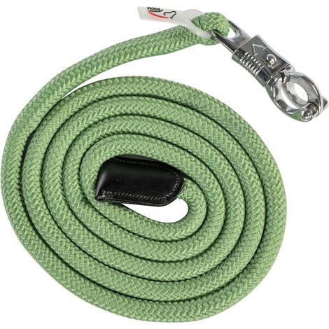 180 cm, verde oliva: Longhina per cavalli modello Carlotta con terminale in pelle e moschettone antipanico