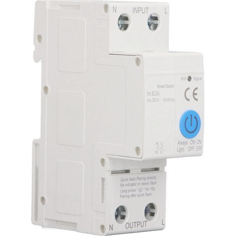 Disjoncteur intelligent ZigBee 2P 63A avec commande vocale, application de contrôle à distance et compteur AC230V