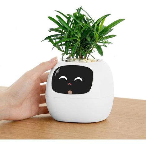 compagno intelligente per piante con oltre 100 espressioni, amico interattivo AI da scrivania, grazioso vaso per piante per l'ufficio, regalo unico per gli amanti delle piante e (1/5)