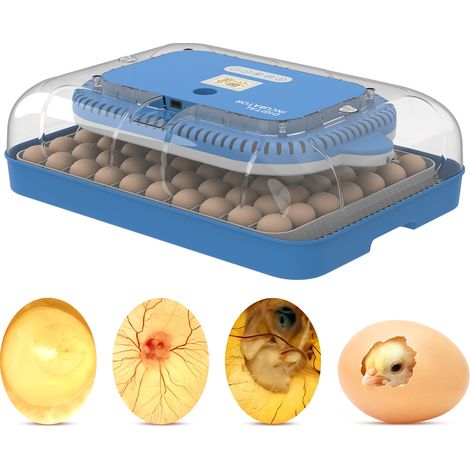 70-Eier-Brutapparat [3-in-1] mit LCD-Anzeige für Temperatur, Luftfeuchtigkeit, programmierbarer Steuerung, automatischer Drehung, Durchleuchtung und verstellbarem Tablett für Hühner, Tauben, Enten, Gä