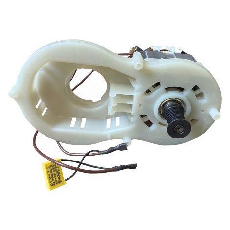 Ersatzmotor Elektromotor 230V 2500W 50Hz Motor für Gartenhäcksler uvm. (1/5)