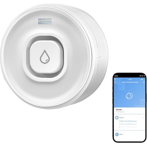 Capteur d'eau Wi-Fi : alarme de 100 dB pour le sous-sol, alarme réglable et notifications via application, détection des fuites d'eau. (1/5)