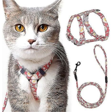 Verstellbares Katzengeschirr mit Leine (145 cm, Rosa, M) für Katzen und kleine Hunde, Nylon mit Sicherheit, langlebiges Leinengeschirr für Welpen, Kätzchen und kleine Tiere, FLITI (1/4)