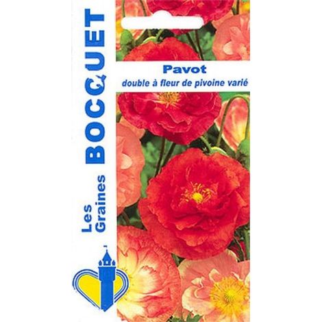 Pavot double à fleur de pivoine varié - 1,5g