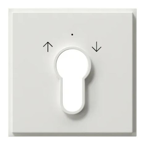 Gira Tapa Interruptor/pulsador llave Gira TX44 (WG UP) Blanco puro [066466], 0664 66