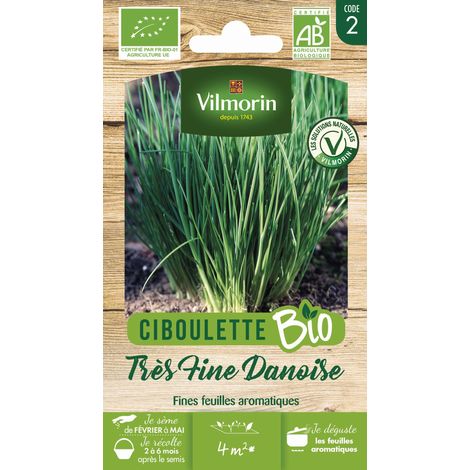Vilmorin - Ciboulette Très fine danoise (1/2)