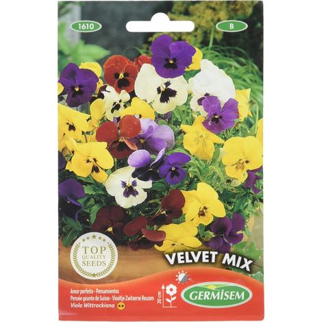 Graines de Pansy 0.5 g (1/5)