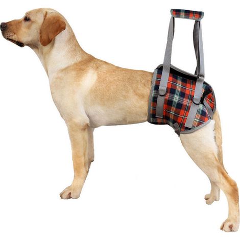 Harnais de Soutien pour Chiens Réglable Harnais pour Chien Handicapé pour Les Jambes Arrière, Maille Harnais Levage avec Poignée pour l'Aide Canine Réadaptation, Chiens Âgés, Blessés (S, Treill