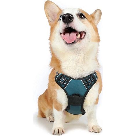 Harnais Chien M Arnais Vert Foncé Anti Traction Réfléchissant Gilet Réglable pour Chien Attache Devant Crochet de Laisse