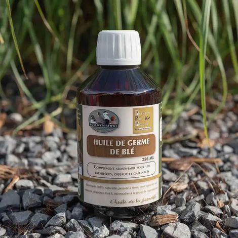 Huile de Germe de Blé 250ml - Stimulant Naturel pour Ponte et Fécondation