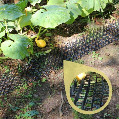 Confezione di 2 Griglie Antiparassitarie - Protezione Naturale per il Giardino - Tagliabili e Modulari - 49 x 14 cm (1/4)