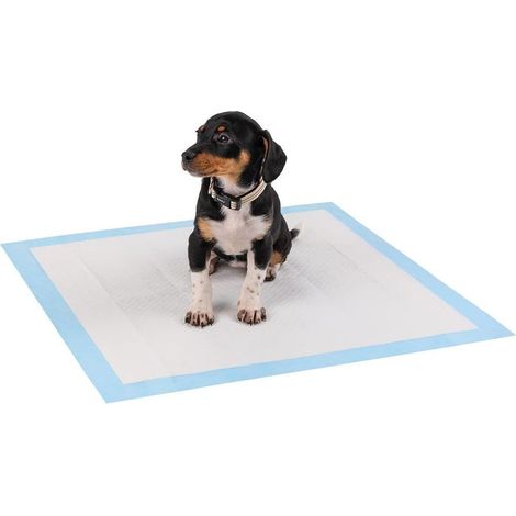 Tapis Hygiénique Pour Chiots - 6 Couches - Anti-fuites - 60 x 60 Cm - Lot De 40 Pièces (1/5)