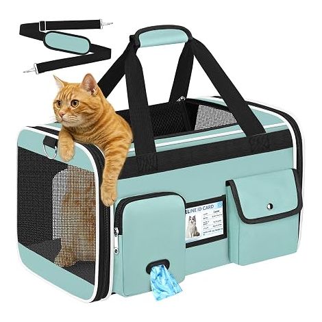 Transport Bag for Cats and Dogs (1/5)