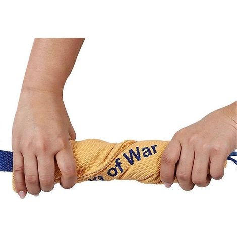 Jouets à mâcher interactifs pour chiens, parfaits pour l'entraînement et la poussée dentaire. (1/4)