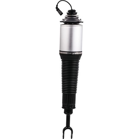 Suspensión Pneumatica Delantera for Audi A8 D3 4E 4H 2002-2019 4E0616039 4E0616040 SUSPENSIÓN NEUMÁTICA DELANTERA IZQUIERDA 4E0616040T 75-00091 RI (1/5)