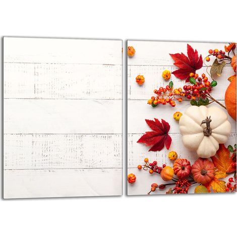 Protector de vidrio para estufa 2x40x52 Calabaza (1/5)