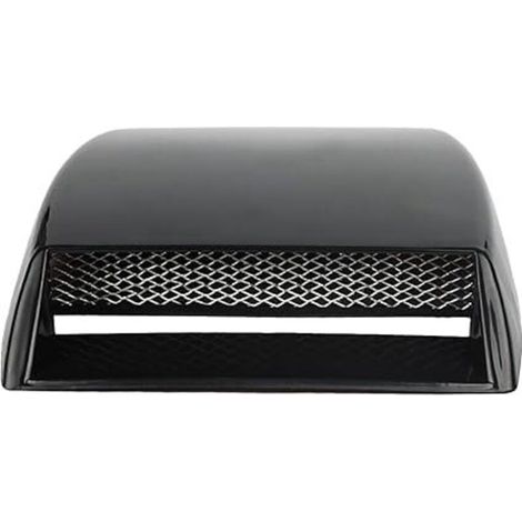 Prese d'aria decorative per auto (1/5)