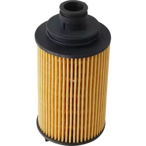 E4G16-1012040 Filtre à huile compatible Chery A3 / Tiggo / Riich G3 / Arrizo 7 / Qoros 1.6L (1/4)
