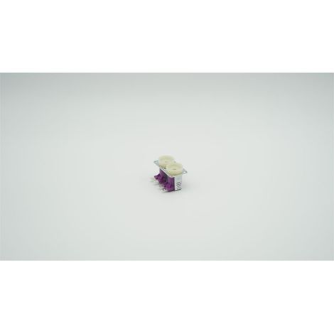 BWT Doppel-Magnetventil, 2-060479