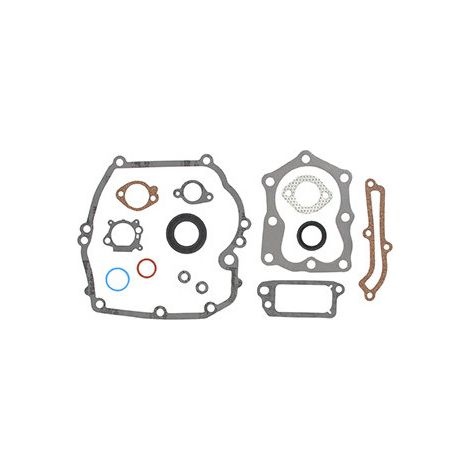 Joints moteur BRIGGS ET STRATTON 496117
