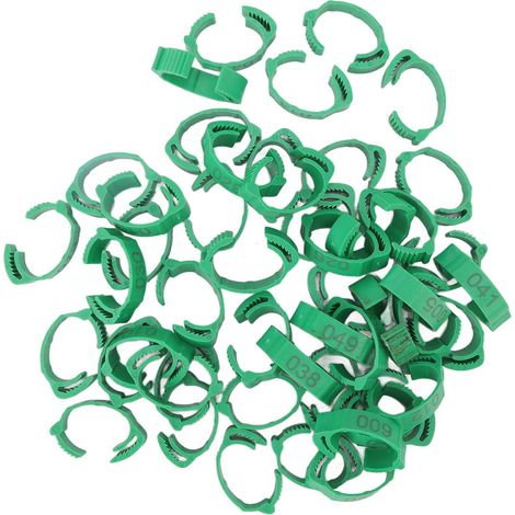 50 anillas numeradas para patas de aves (pollos, pinzones enanos, agapornis, codornices, aves de corral pequeñas, aves verdes) (1/5)