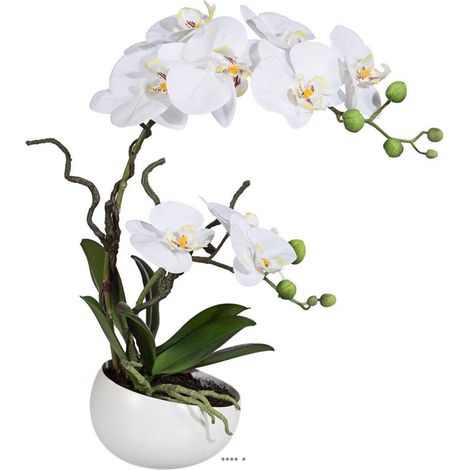 Orchidee factice 2 hampes en coupe ceramique H45cm touché réel Crème - couleur: Crème