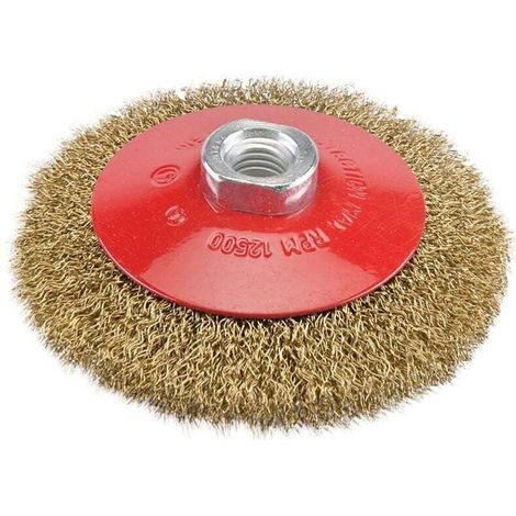 BROSSE BISEAUTÉE À FILS ONDULÉS 115 MM 763625 (1/4)