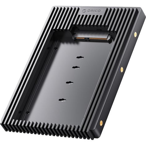 Adaptador D2SS-6G de 2,5" a 3,5" - Negro (1/3)