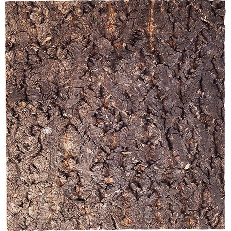 Repti-Zoo Großer Baumhintergrund - Rindenhintergrund für Terrarien 30x30cm (1/5)
