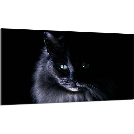 Plaque de protection en verre pour poêle 90x52 Cat (1/5)