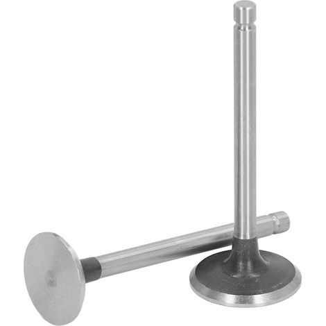 2-teiliges Einlass- und Auslassventilset aus legiertem Stahl, gratfrei, Generatorventil-Kit für Mini-Gartenfräsen (1/5)
