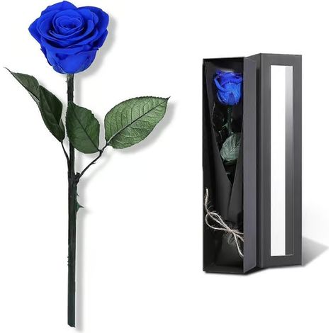 Fleurs bleues livrées en urgence, roses bleues stabilisées, cadeaux floraux pour femmes, vraies roses (1/5)