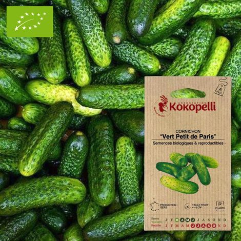 Cornichon Vert Petit de Paris