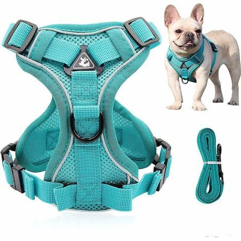 Harnais réfléchissant pour chien, harnais anti-traction, ensemble harnais et laisse, harnais rembourré doux et respirant pour chiens de petite, moyenne et grande taille (S) (1/5)