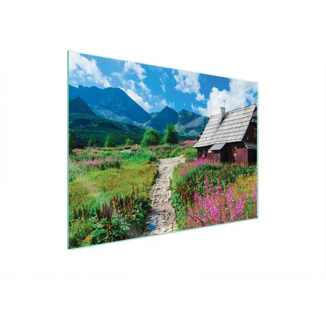 PIASTRA PROTETTIVA IN VETRO PER PIANO COTTURA 70x52 (1/5)