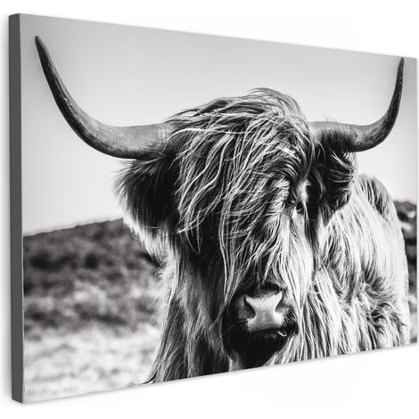 TABLEAU SUR TOILE Vache - Highlander écossais - Noir - Blanc - Animal - Nature - Vie sauvage Tableau Cuisine Décoration murale 90x60 cm