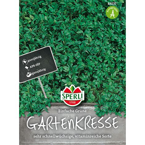 Sperli Kresse Einfache Grüne - Kräutersamen - Kräutersamen (1/4)
