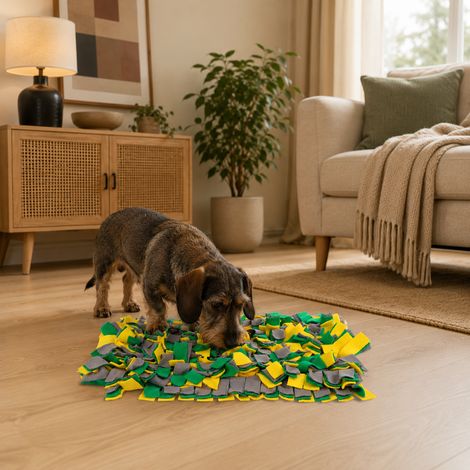 belviona Schnüffelmatte für Hunde, Intelligenzspielzeug zur Futtersuche, fördert Geruchssinn & Konzentration, 50x34 cm, gelb/grün (1/5)