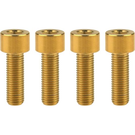Viti a testa cilindrica con esagono incassato in titanio, viti esagonali M5 con testa cilindrica, set da 4 pezzi (M5x16, passo 0,8 mm, oro). (1/5)