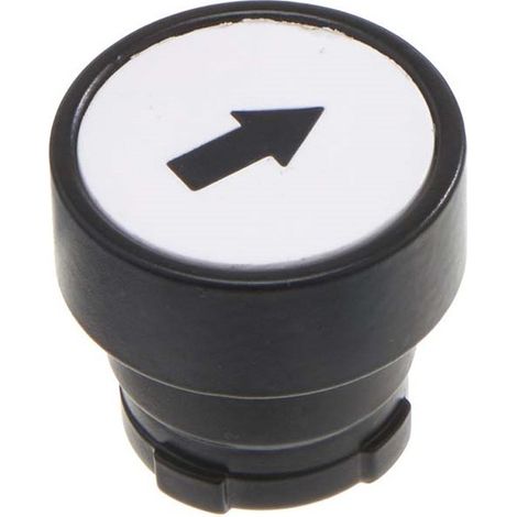 Tête de bouton-poussoir RS PRO Blanc, Momentané, Ø découpe 22mm ( Prix pour 1 )